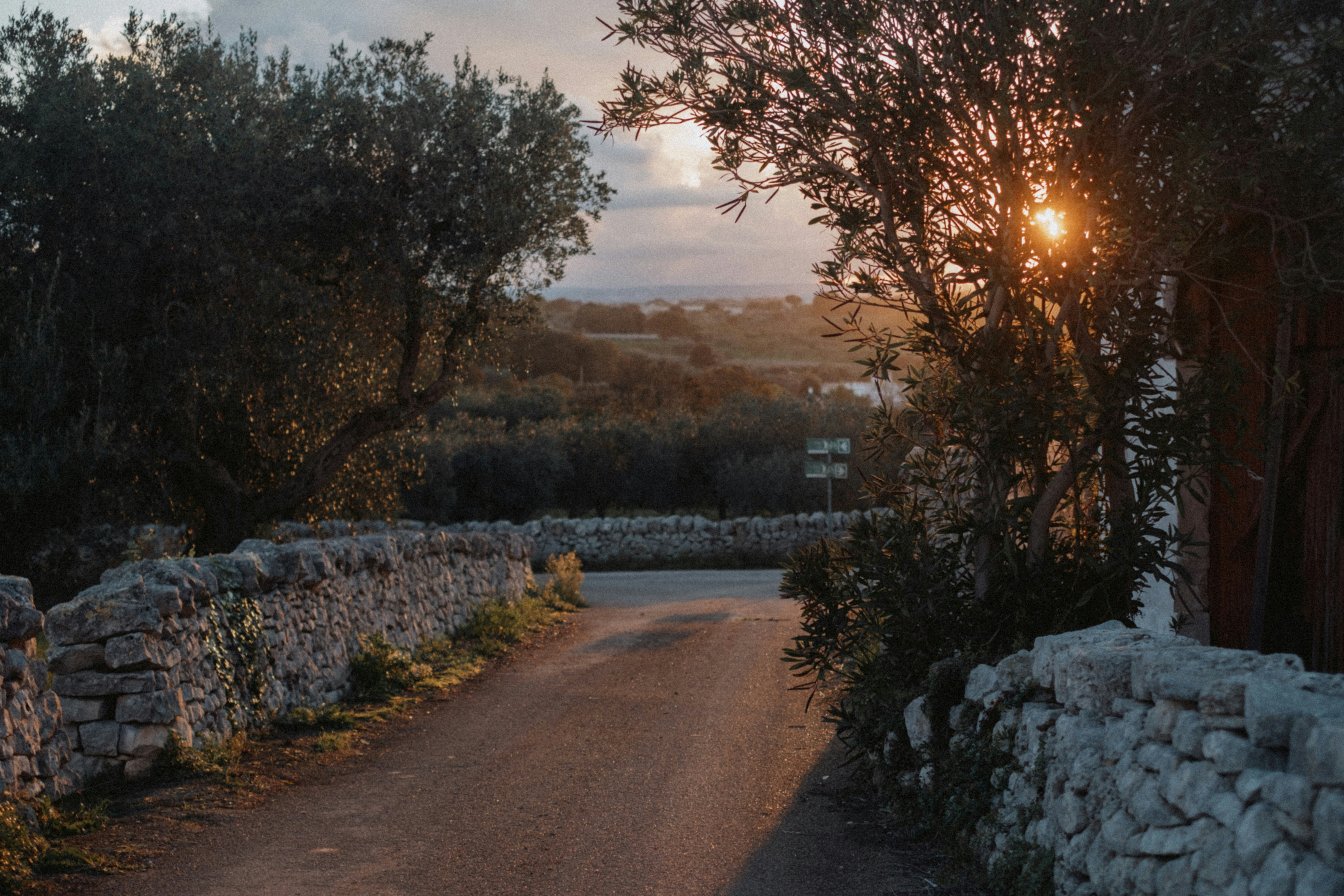 Servizi di Alma Mater Guesthouse